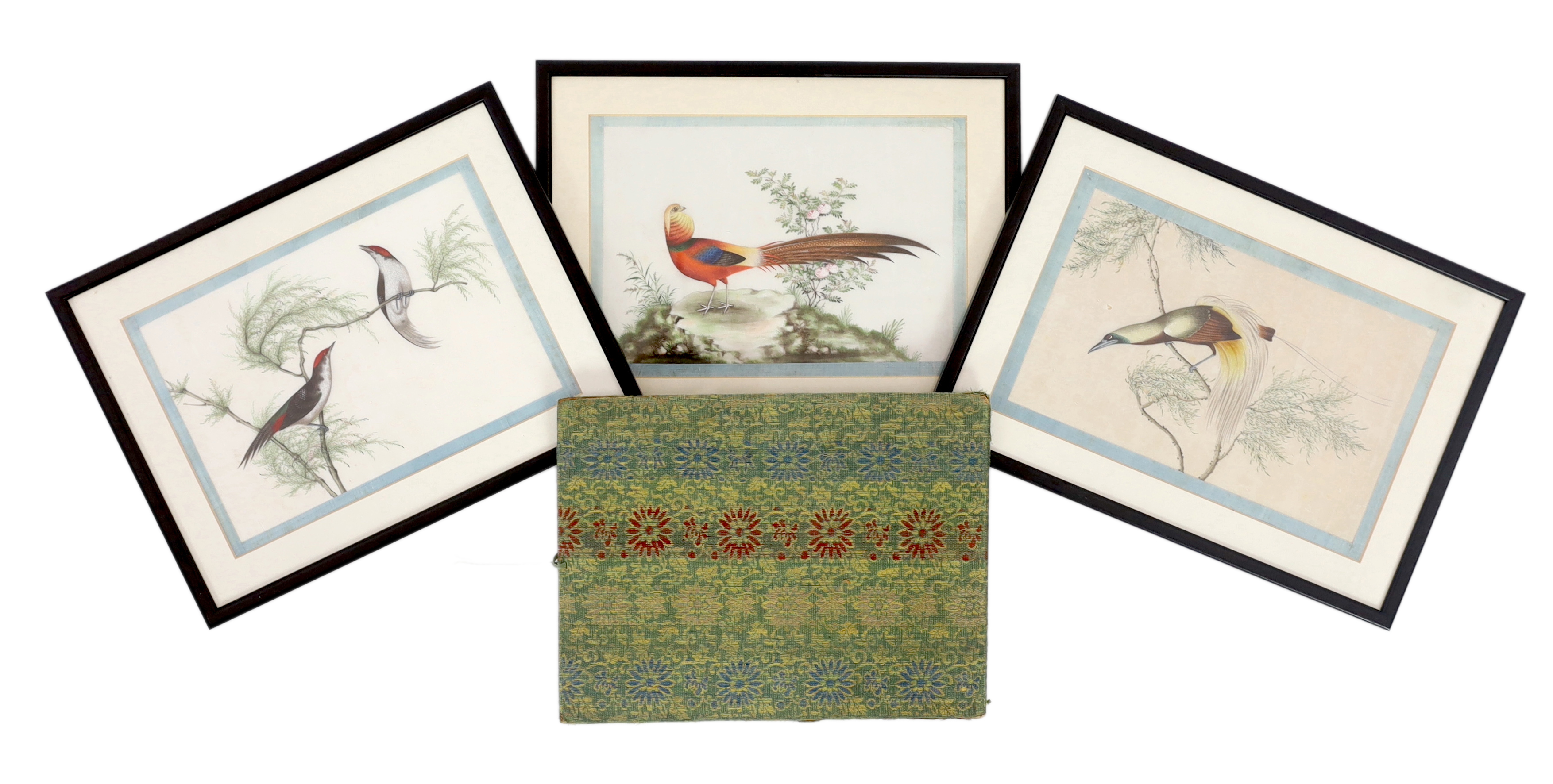 A set of thirteen Chinese pith paintings of birds perched on branches, Daoguang period (1821-50)